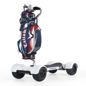 KSM-930 certificat CE passionnant électrique Golf Buggy Scooter panier batterie hors route planche à roulettes électrique - Product Image 3