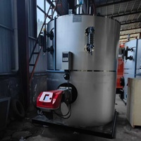 Generator Uap Gas Vertikal LHS Low NOx Ramah Lingkungan untuk Industri, Laundry Hotel, Sterilisasi Rumah Sakit