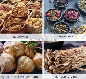 Séchoir alimentaire hybride solaire et à pompe à chaleur, séchoir à économie d'énergie pour les projets agricoles ruraux - Product Image 6