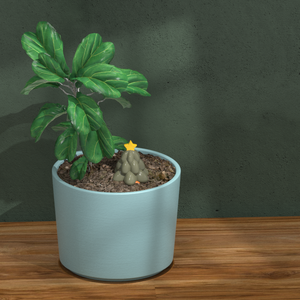 <span class=keywords><strong>Riego</strong></span> Automático para <span class=keywords><strong>Plantas</strong></span> en Maceta, Estilo Árbol de Navidad, Color Terracota, para Interiores/Exteriores, Granja, Hogar, Jardín, <span class=keywords><strong>Vacaciones</strong></span> - Product Image 4