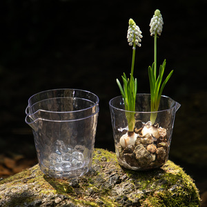 Maceta Transparente con Patrón Glaciar P412, Autorriego, Sin Necesidad de Regar, Maceta Hidropónica para Narcisos - Product Image 2