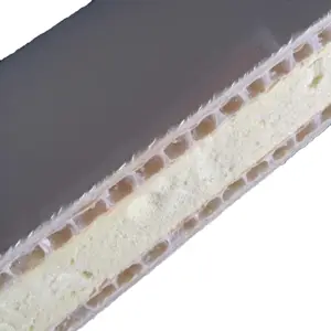 Corrosion Resistance Matte XPS FRP Fiberglass Honeycomb Sandwich Panel For Caravan