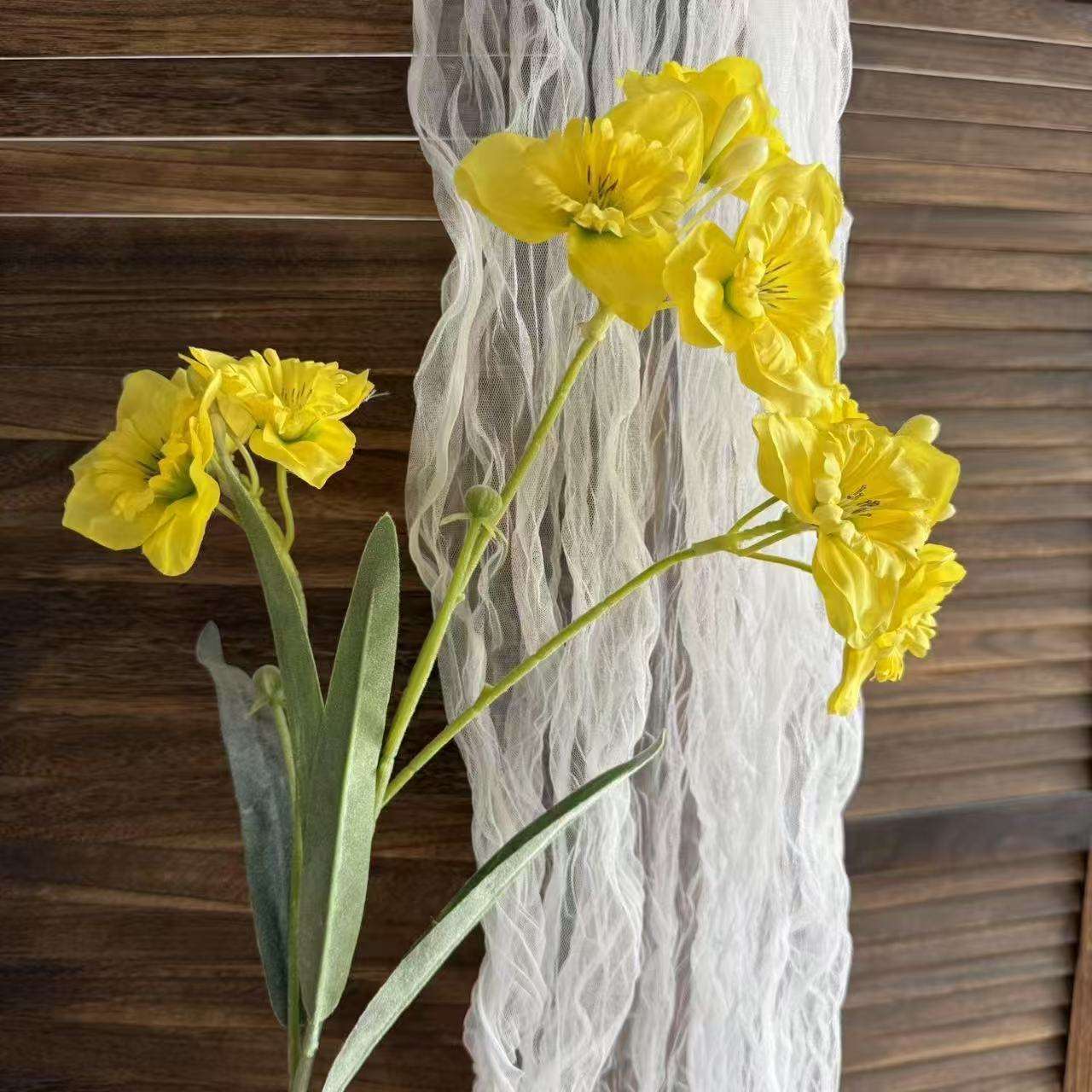 ดอกแดฟโฟดิลสีเหลือง