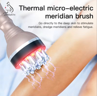 Masseur Gua Sha Électrique Portable en Acier Inoxydable pour Drainage Lymphatique, avec 4 Pièces et Ventouses de Thérapie par Aspiration Sous Vide