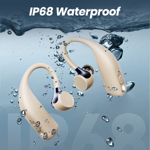 Flysonds New Arrival bán buôn không thấm nước sạc mini trợ thính cho người cao niên với tiếng ồn-hủy bỏ và ù tai cứu trợ - Product Image 2