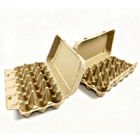 Boîte d'emballage pour œufs jetable, biodégradable, recyclable, respectueuse de l'environnement, avec 18 œufs, antichoc