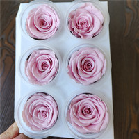 Roses éternelles de qualité supérieure, grade A, 5-6 cm, en coupelles, pour la fête des mères et la Saint-Valentin