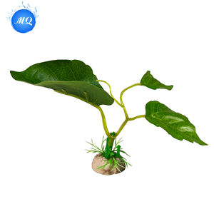 Plantes aquatiques de haute qualité décoration d'aquarium Offre Spéciale jonc de mer avec Base en plastique acrylique et approvisionnement de paysage de réservoir de poissons PC - Product Image 6