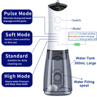 OEM Portable 300ML Sans Fil IPX7 Fil Dentaire Électrique Alimenté par USB pour Irrigateur Oral avec Fonction de Nettoyage à l'Eau pour les Dents