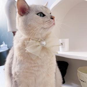 Lujo Jeweled Mesh Bow Diamond Pearl Cat & Dog Collar Personalizable Accesorios para mascotas - Product Image 2