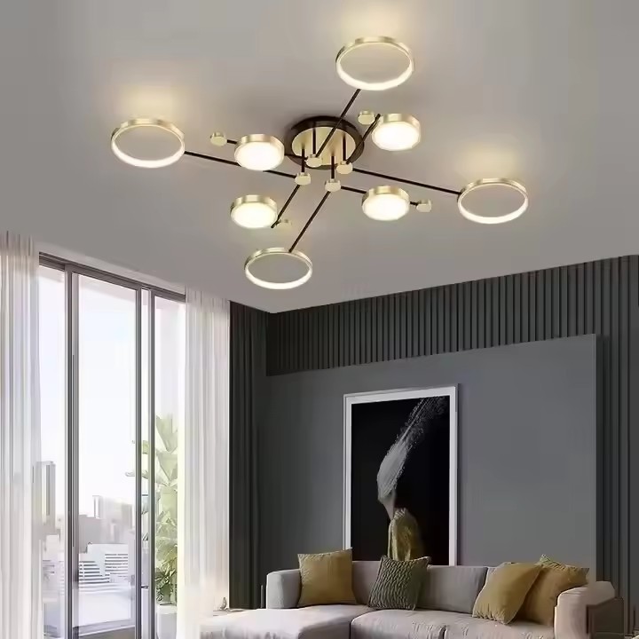 Modern Interior Chandelier Ceiling Lamp for Living Room Dining Room Home Lighting Surface Mounted Acrylic LED Ceiling Light