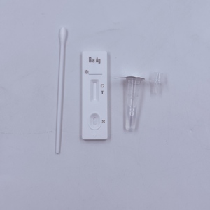 Prueba Rápida de Antígeno de <span class=keywords><strong>Giardia</strong></span> <span class=keywords><strong>en</strong></span> Cassette, Kit de Detección de Parásitos Fecales <span class=keywords><strong>en</strong></span> Perros y <span class=keywords><strong>Gatos</strong></span> - Product Image 4