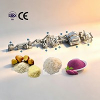 Ligne de production de poudre de pomme de terre et de flocons de pomme de terre industrielle entièrement automatique certifiée CE