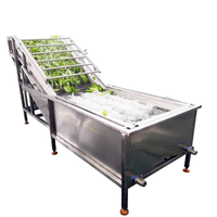 Gofun GFM-QX Automatische Fruit- en Groentewasmachine, eenvoudig te bedienen, 380V/50HZ, 10KW vermogen, 2 jaar garantie voor appels en tomaten