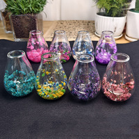 Gobelet à bulbe en verre borosilicate de haute qualité pour fleurs séchées, double couche, isolation thermique, sans poignée, sans couvercle