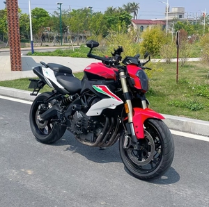 BJ600GS Huanglong 600 600cc Moto Urbaine et de Loisirs Puissante avec Contrôle Stable Huanglong BJ600GS Huanglong 600 600cc Puissante - Product Image 6