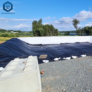 Geomembranas de 20 Milésimas de Pulgada para Revestimiento de Estanques de Peces en Agricultura, HDPE para Estanques de Peces en Sri Lanka - Product Image 2