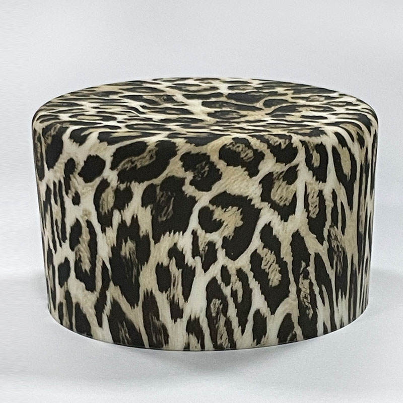 Leopard MZ