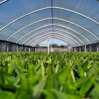 Système d'agriculture verticale hydroponique Smart Farm Grow, petite ferme en conteneur maritime, serre recouverte de film PE, structure stable