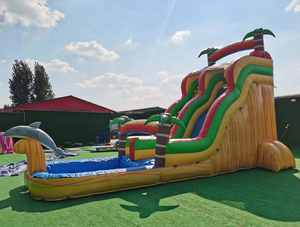 زحليقة هوائية جافة ضخمة بمسارين للتأجير - Product Image 4