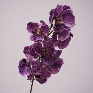 Fleurs d'orchidée <span class=keywords><strong>Vanda</strong></span> papillon haut de gamme, hydratantes, effet toucher réel, pour décoration de salon, mariage et extérieur - Meilleures ventes - Product Image 2