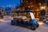 Voiturette de golf 6 places pour adultes, batterie lithium 60V, tout-terrain, électrique, contrôleur Curtis, quatre freins à disque