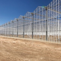 Serre agricole semi-fermée en aluminium néerlandais avec toiture en verre pour tomates, fabriquée en Chine