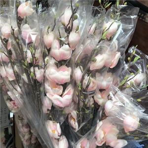 S-1201 2019 nuovo Design personalizzabile artificiale colorato fiore di <span class=keywords><strong>Magnolia</strong></span> per matrimonio sfondo decorazione - Product Image 6