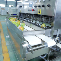 Mango Schilmachine Mango Peeling Pitting Machine Mango Peeling En Snijmachine