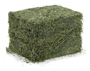 เม็ดอัลฟัลฟ่าเกรดอาหารสำหรับสุนัขวัวม้าเป็นเม็ด - Product Image 3