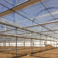 Serre tunnel en plastique multi-travées anti-UV pour tomates Fuma Sales