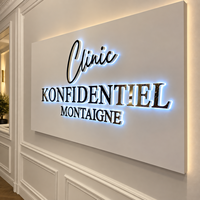 Lettres rétroéclairées en or personnalisées de luxe, logo en acier inoxydable 3D, enseigne LED, halo lumineux, signalétique murale pour spa, salon, réception
