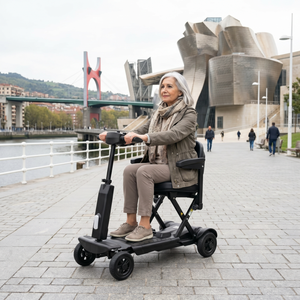 Trottinette électrique pliable PEPE P10048 pour adultes, noire, avec accoudoirs, batterie 10Ah, vitesse 7 km/h - Product Image 1