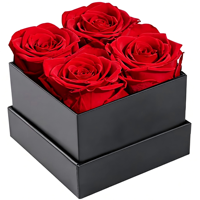 Konservierte Rose Muttertags- & Geburtstagsgeschenkbox 36x3x5 Zoll für Mama Freundin Ehefrau Oma
