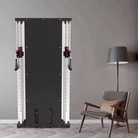 Máquina de Gimnasio de Fuerza Longotech al por Mayor con Sistema de Múltiples Poleas Entrenador Funcional de Cruce de Cables Montado en la Pared con Espejo