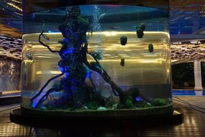 수족관 및 액세서리 원형 수족관 어항 아크릴 수족관 플라스틱 물 물고기 탱크 - Product Image 3