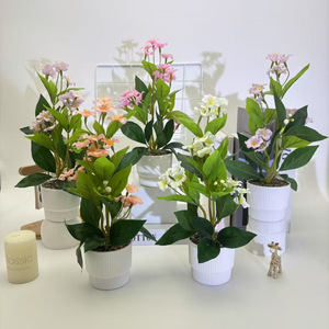 Bonsái de Crisantemo Artificial Paulon de 30 cm de Alto, Rosa, Blanco y Morado, Decoración para Bodas y Hogar - Product Image 1