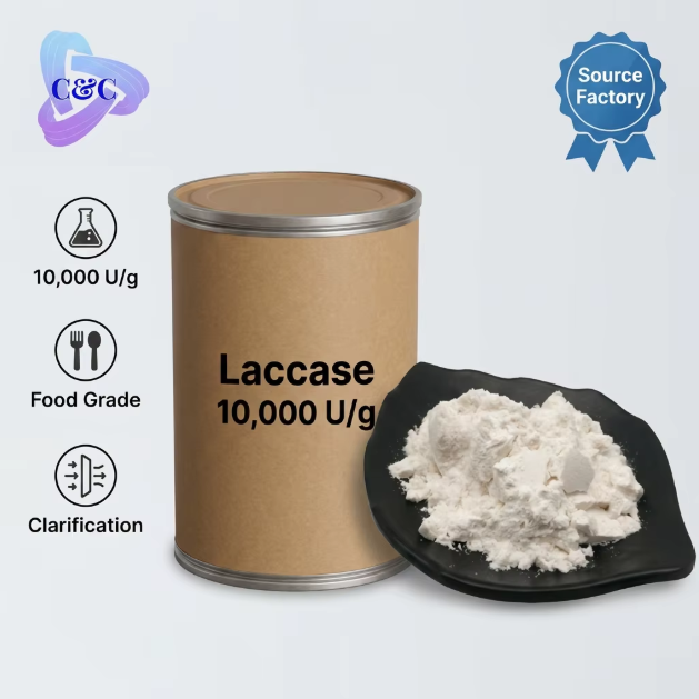 Factory Supply High Activity 10000 U/g CAS 80498-15-3 Food Grade Laccase Enzyme Powder for Beverage Clarification & Beer Brewing