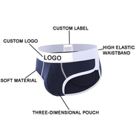 Slips et Boxers pour Hommes Vestes Slips pour Hommes Transparents String Sous-Vêtements Sexy Boxer Briefs String