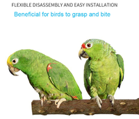 Perchoirs à oiseaux en bois naturel pour perroquet en bois perroquet support branches perruche Cage perchoir accessoires pour petits oiseaux