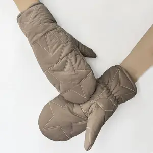 BSCI Hersteller Passen Sie Ihre Winter mode mit Touchscreen Damen handschuhen an