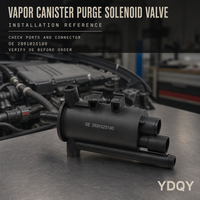 Vanne de Purge de Canister de Vapeur en Gros 28910-25100 pour Hyundai Santa Fe Sonata Tucson Kia Sorento Sportage 2891025100