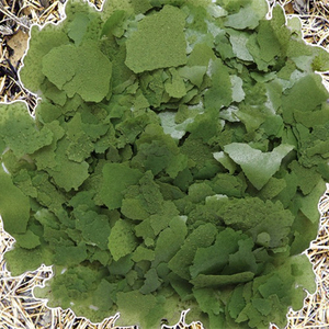 Flocons de nourriture pour poissons riches en protéines et en légumes de haute qualité de Chine, pour la santé de la peau des reptiles, toutes les étapes de vie, 3 ans - Product Image 1