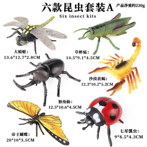 Juego educativo de juguetes de insectos de simulación para niños con insectos, mariposas, hormigas, libélulas, moscas, arañas y mantis Animal - Product Image 3