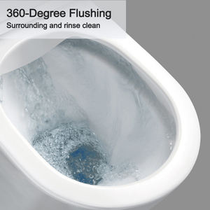 OVS cUPC Amérique du Nord Salle de bain moderne en céramique noire Accrochage mural <span class=keywords><strong>Wc</strong></span> Toilette flottante avec réservoir - Product Image 5