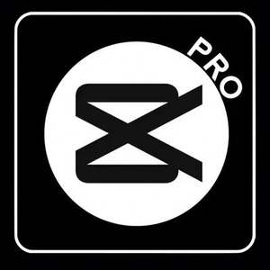 Licencia de Software Capcut Pro, Cuenta Capcut Pro, Edición de Video, Suscripción a Capcut 1 Mes - Product Image 4