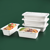 Boîte à lunch rectangulaire jetable 100% compostable, boîte à snack, boîte à repas rapide en bagasse de canne à sucre avec couvercle