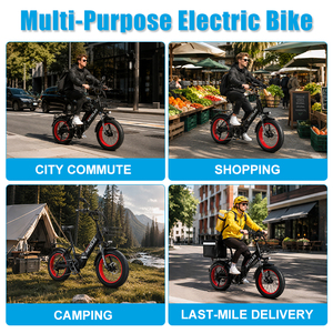 Bicicleta Plegable OEM al por Mayor de 20 Pulgadas, 7 Velocidades, Neumático Ancho de Aluminio, Bicicleta Eléctrica con Cesta Delantera y Portaequipajes Trasero, Entrega Electrónica KS9 de 20 Pulgadas Plegable - Product Image 3