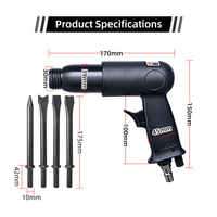 Kunden spezifische 190mm pneumatische Meißel Industrie qualität Profession elle Werkzeuge Vibrations arme Luft schaufel OEM-Unterstützung