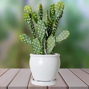 Cactus artificiale di fico d'india per l'ufficio dell'interno della decorazione domestica - Product Image 3